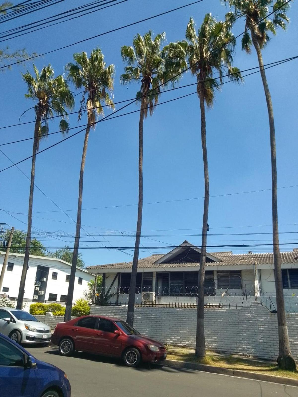 Comfort Home Escalon San Salvador Eksteriør bilde
